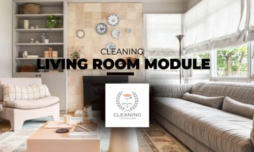 Living Room Cleaning Module