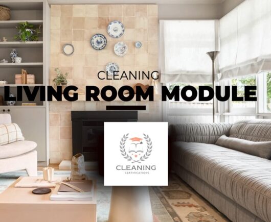 Living Room Cleaning Module