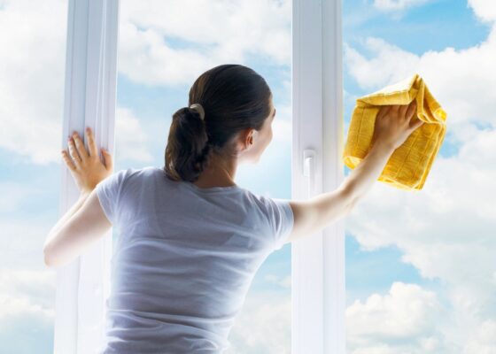 Hands On Cleaning Training Workshop