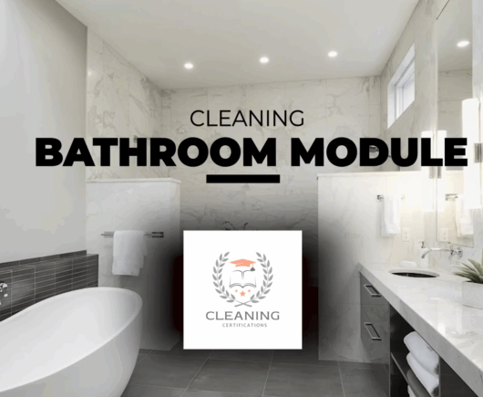 Bathroom Cleaning Module