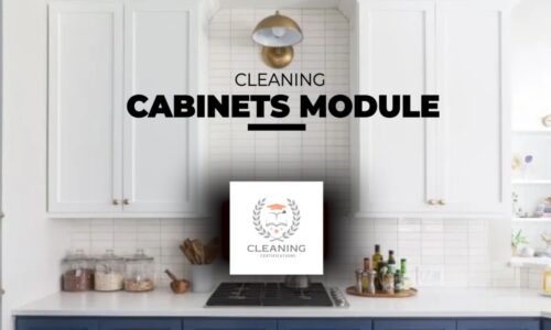 Cabinet Cleaning Module