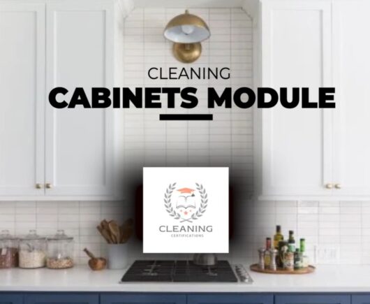 Cabinet Cleaning Module