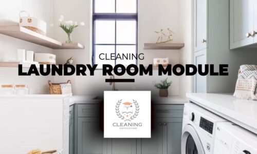 Laundry Cleaning Module