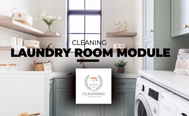 Laundry Cleaning Module