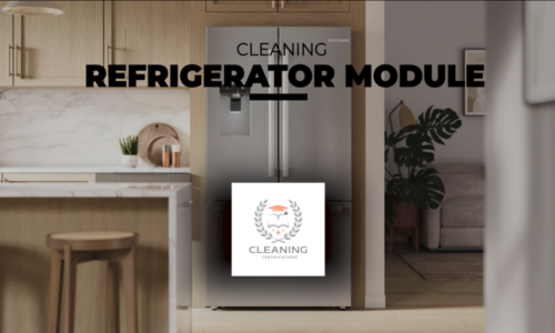 Refrigerator Cleaning Module