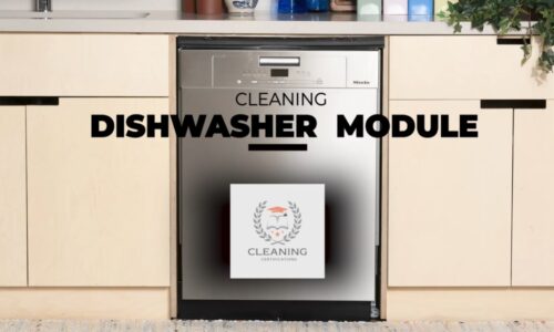 Dishwasher Cleaning Module