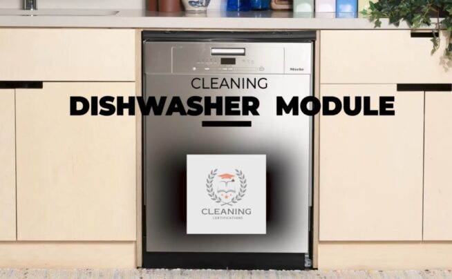 Dishwasher Cleaning Module
