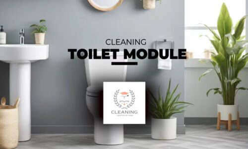 Toilet Cleaning Module
